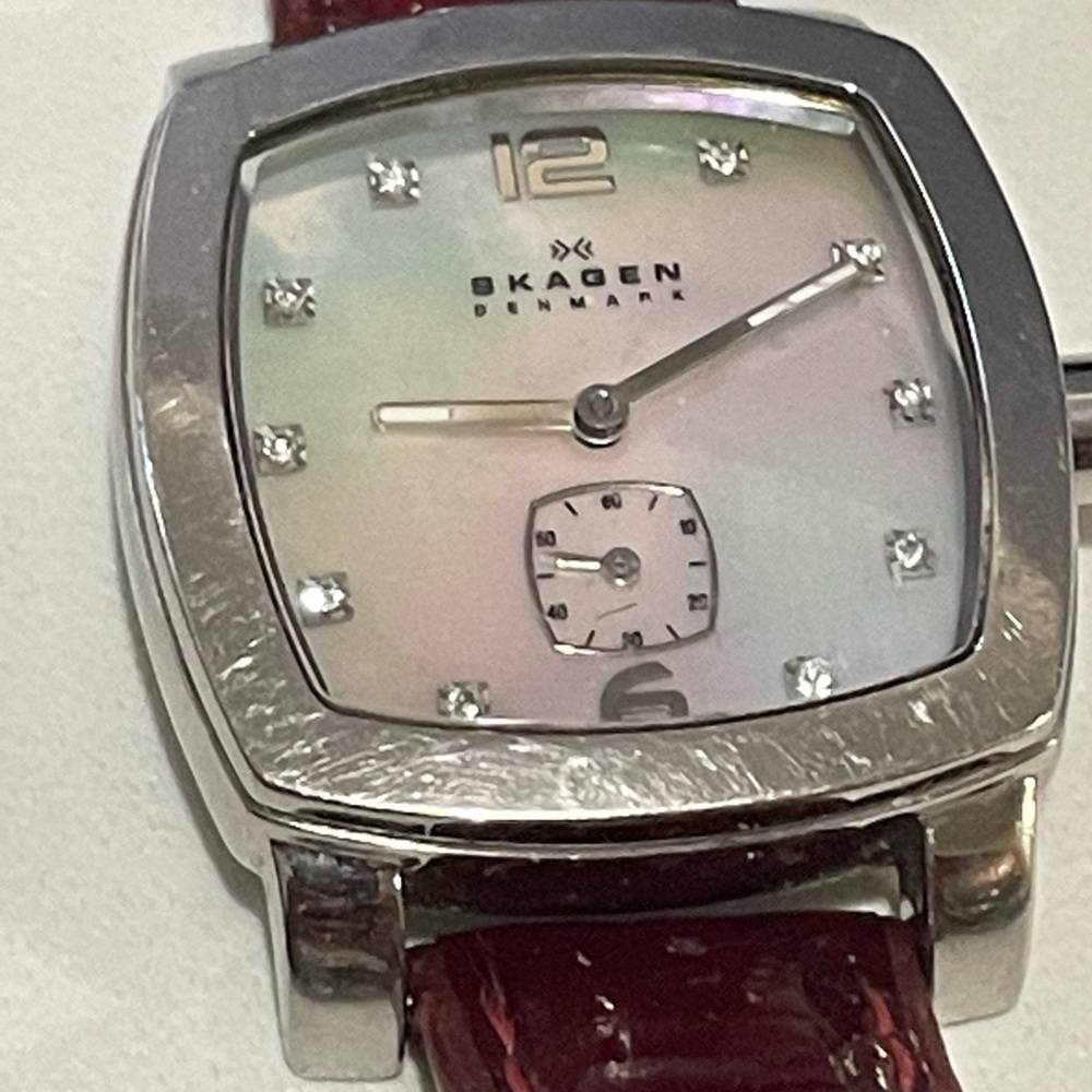 Skagen Wristwatch Watch